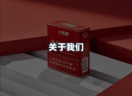 关于我们
